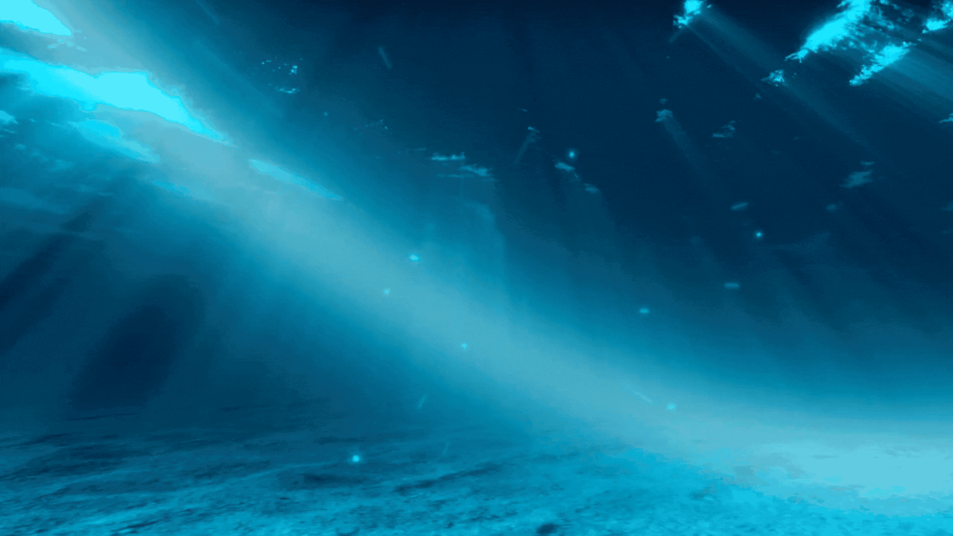 Event image for ๐๐๐๐๐๐ ๐ฝ๐๐๐๐: ๐๐๐๐๐๐ ๐ฑ๐๐๐๐!