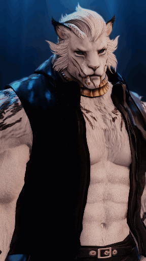 Avatar for Kitty Kittykittykitty