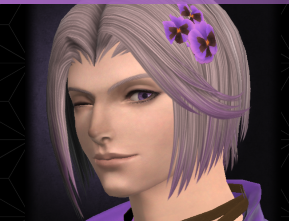 emmettastaria